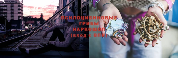 ПСИЛОЦИБИНОВЫЕ ГРИБЫ Абаза