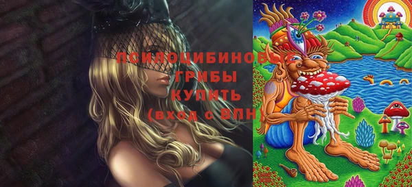 спайс Абинск