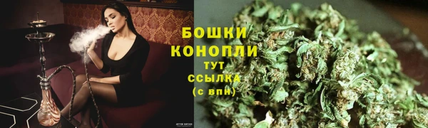ПСИЛОЦИБИНОВЫЕ ГРИБЫ Абаза