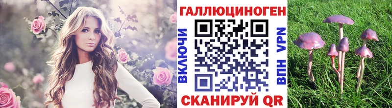 Галлюциногенные грибы MAGIC MUSHROOMS  Лодейное Поле 